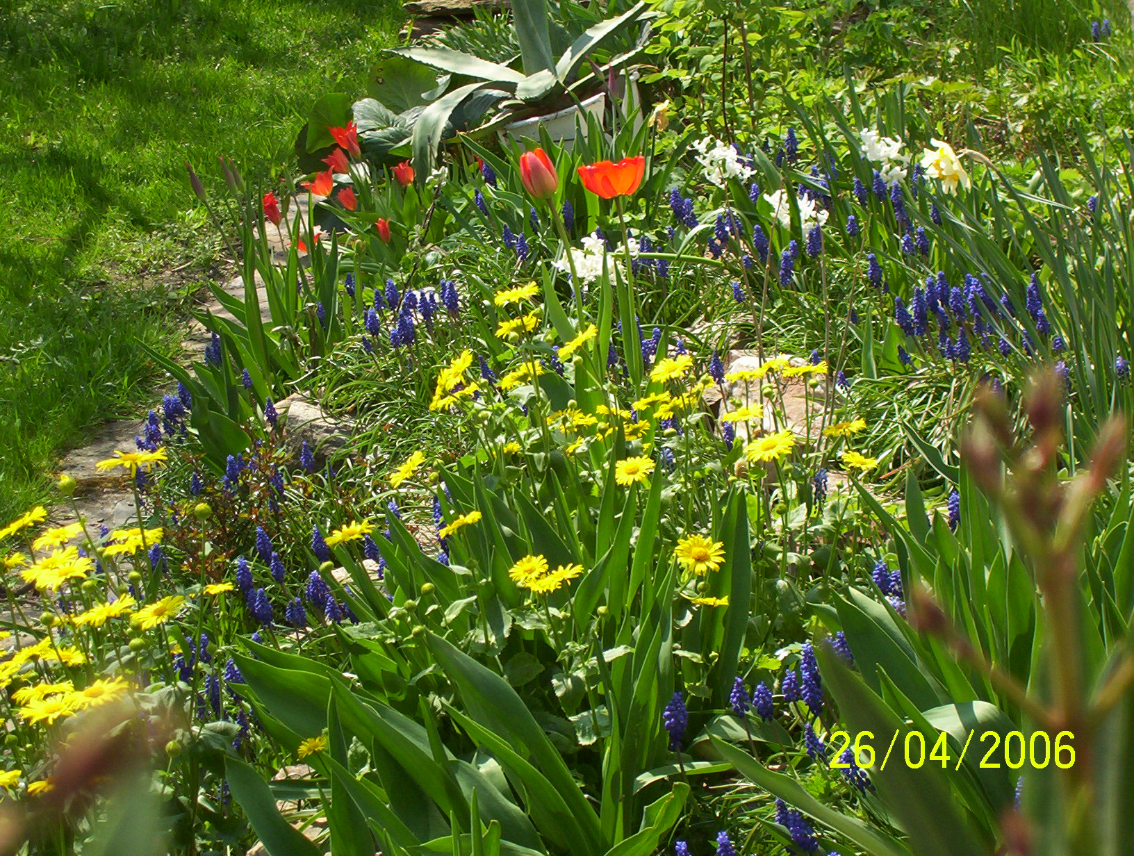 100_6874.JPG