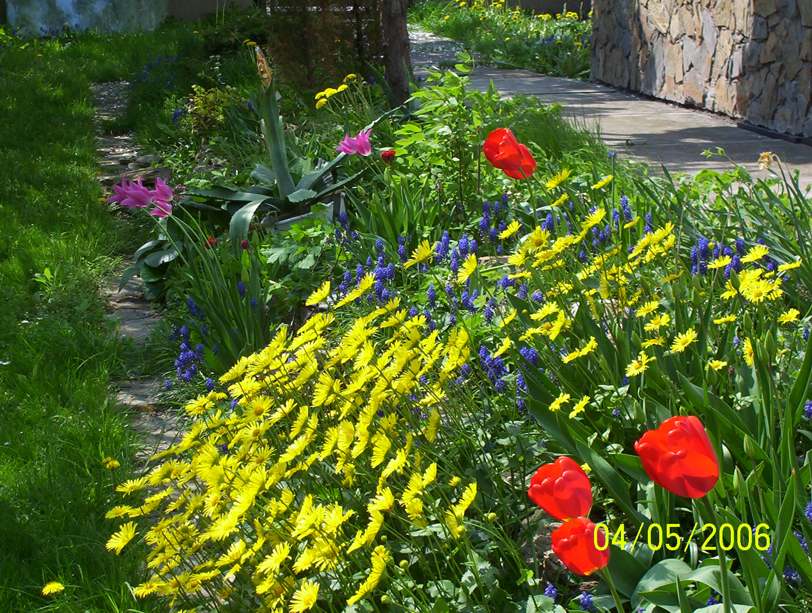 100_6894.JPG