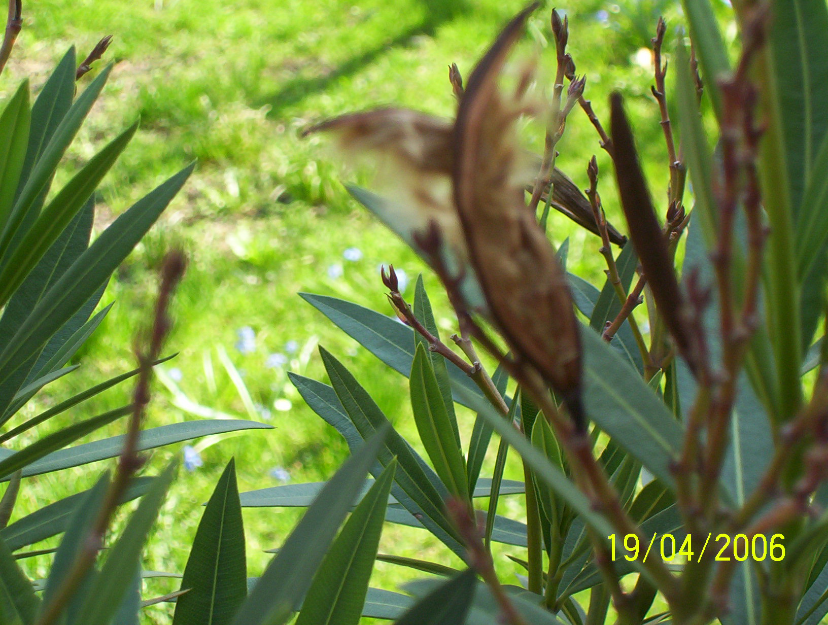100_6759.JPG