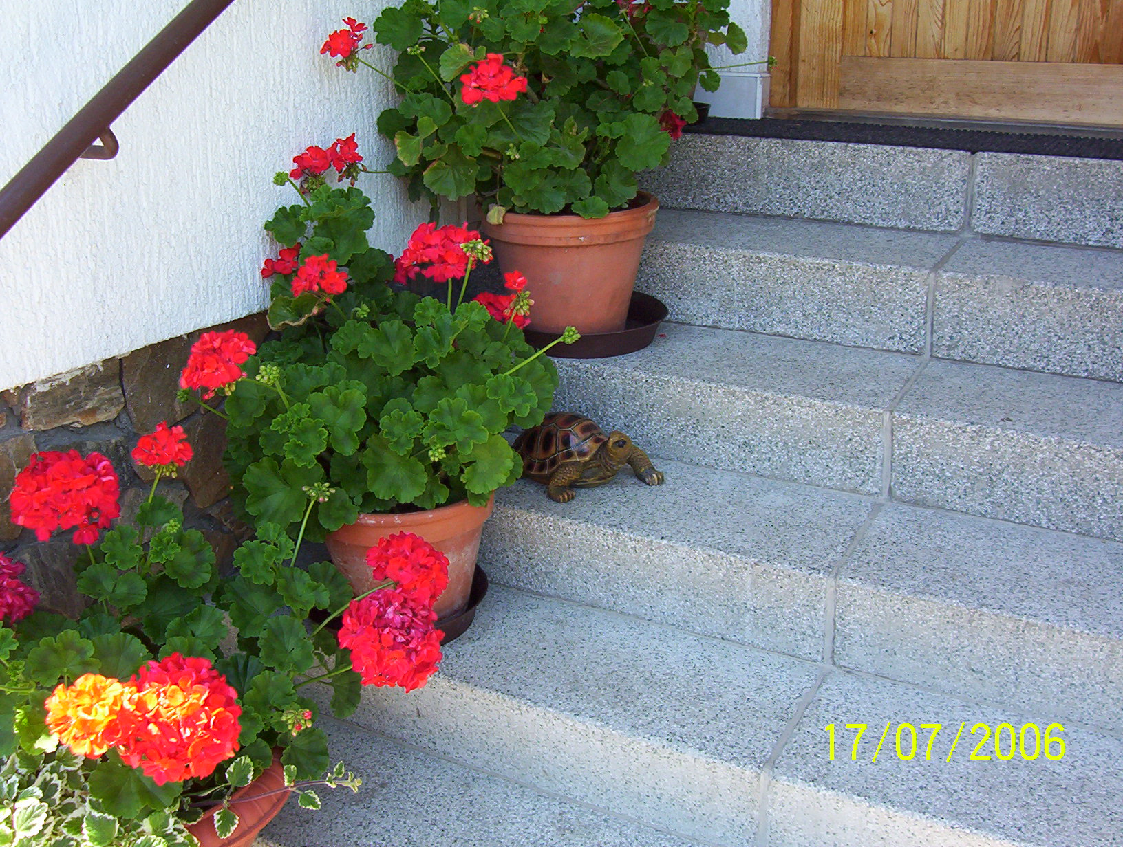 100_7536.JPG
