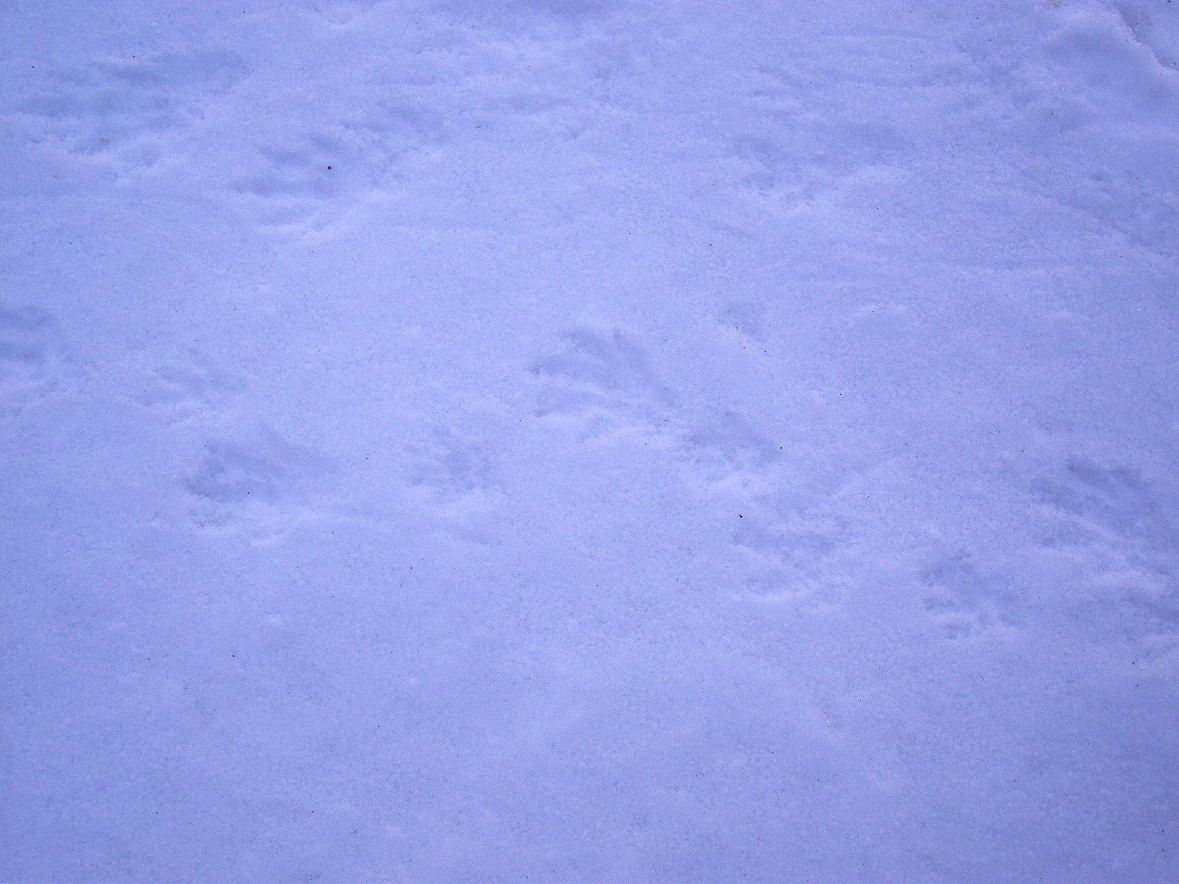 n 357_l