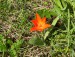 100_6746.JPG