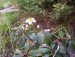 100_6724.JPG