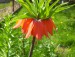 100_6890.JPG