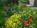 100_6894.JPG