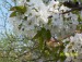 100_6880.JPG