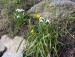 100_6723.JPG