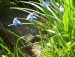 100_6747.JPG