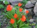 100_6748.JPG