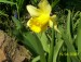 100_6749.JPG