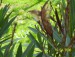 100_6759.JPG