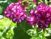 100_7531.JPG