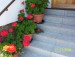 100_7536.JPG